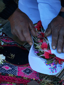 Coca leaves in sacred despacho ceremony